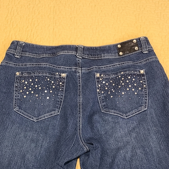 Style & Co. Denim - Style & Co rhinestone straight leg jeans size 14